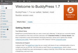 Новый экран приветствия в BuddyPress 1.7