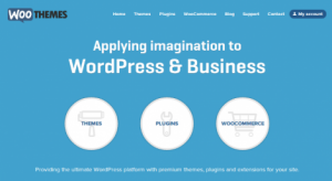 WooThemes - один из самых известных продавцов тем
