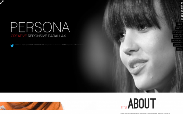 persona-wordpress-theme-700x436