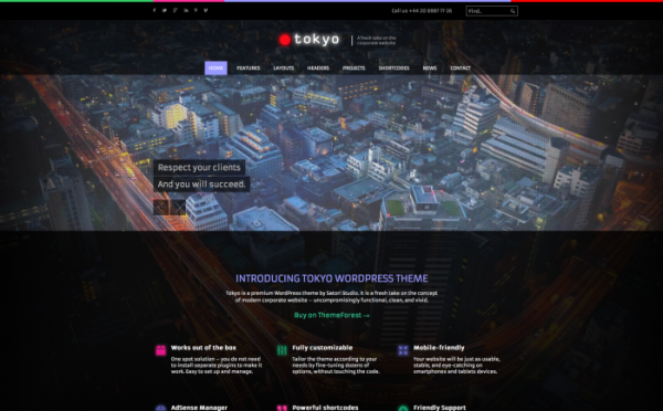 tokyo-wordpress-theme-700x435