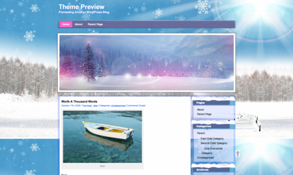 winter-wordpress-theme-700x418