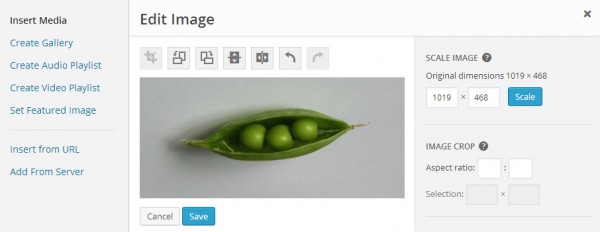 wordpress-image-editing