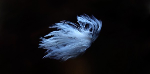 featherlight