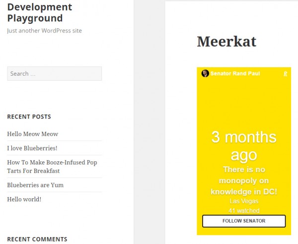 meerkat-wordpress-plugin-example