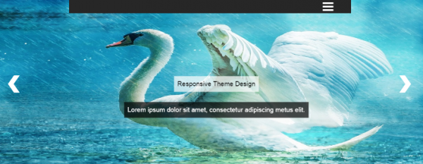 chronicle-theme-slider