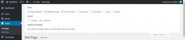 edit-page-screen-options-1